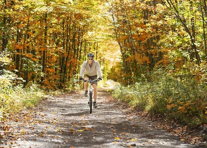 Hébergement de vacances Het Luxe Droompaviljoen